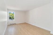 Stunning Two Bedroom Apartment in the Heart of Dartmouth - Photo 15