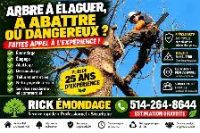 ARBRE À ÉLAGUER, À ABATTRE OU DANGEREUX?   de 25 ans d’exp.