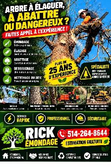 ARBRE À ÉLAGUER, À ABATTRE OU DANGEREUX?   de 25 ans d’exp. - Photo 2