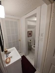 Clean ground floor basement studio for rent (separate entrance) - Photo 6