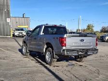 2022 Ford F-150 XLT 4x4 Regular Cab V6 | 17 Alloys | Rear View - Photo 3