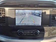 2022 Ford F-150 XLT 4x4 Regular Cab V6 | 17 Alloys | Rear View - Photo 14