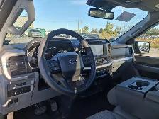 2022 Ford F-150 XLT 4x4 Regular Cab V6 | 17 Alloys | Rear View - Photo 16
