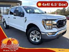 2023 Ford F-150 XLT XLT 4WD SuperCrew 6.5&amp.apos. Box
