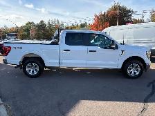 2023 Ford F-150 XLT XLT 4WD SuperCrew 6.5&amp.apos. Box - Photo 8