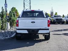 2023 Ford F-150 XLT FX4 Sport 302A 3.5L EcoBoost | 20in Armed - Photo 13