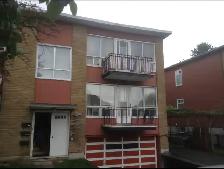 Spacious 3-Bedroom apartment
