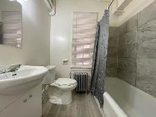 Kenora - One Bedroom Apartment for Rent - Photo 6