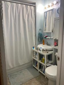 1 bed apt for Dec 1st @ $1700/mth Hintonburg - Parking incl. - Photo 9