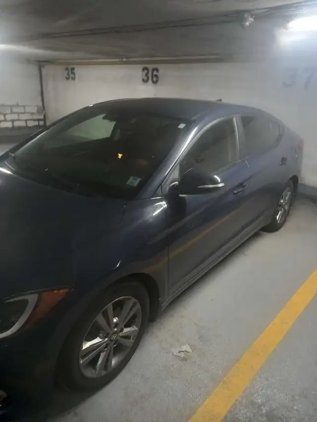 Rides from Halifax downtown to anywhere