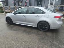 2020 Toyota Corolla - Photo 4