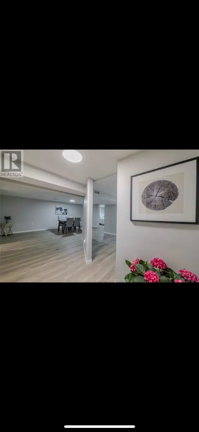 2BR Newly Renovated Basement Near St. Clair College