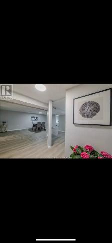 2BR Newly Renovated Basement Near St. Clair College