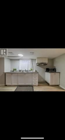 2BR Newly Renovated Basement Near St. Clair College - Photo 4