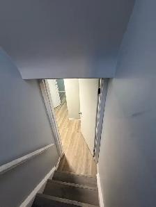 2BR Newly Renovated Basement Near St. Clair College - Photo 7