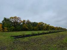 2 ACRE BUILDING LOT FOR SALE ILE DES CHENES - Photo 2