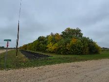 2 ACRE BUILDING LOT FOR SALE ILE DES CHENES - Photo 5
