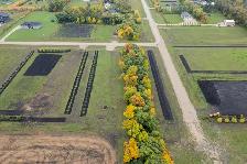 2 ACRE BUILDING LOT FOR SALE ILE DES CHENES - Photo 9