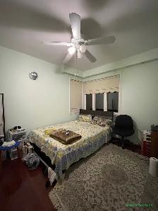 Beautiful 3-Bed, 2-Bath Detached Home for Rent in Scarborough - Photo 8