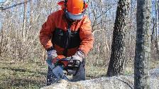 Chainsaw Safe Handling & Maintenance