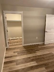 NEWER 2 BEDROOM APARTMENTS IN KINGSTON - Photo 5