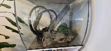 16 Gallon Fuval Flex Fish Tank - Photo 3