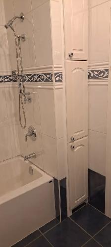 Bloor West Village-Charming 1 bedroom apartment: $1900 - Photo 9
