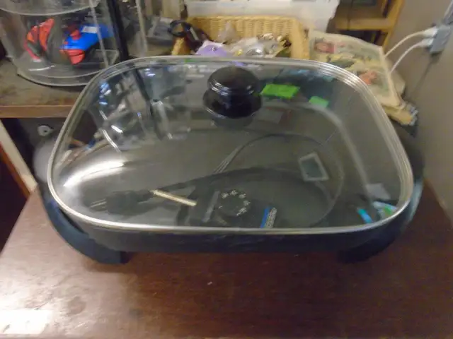 Electric frying pan (tested)