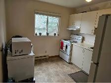 2 Bedroom 1 Bathroom Apartment - Photo 7
