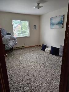 2 Bedroom 1 Bathroom Apartment - Photo 9