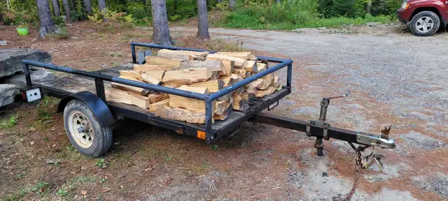 utility trailer  SnowBear.