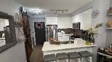 ROOM AVAILABLE AT HURONTARIO/EGLINTON. CALL 6474440553 - Photo 6