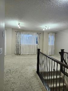 Three (03) Bed House for rent - Photo 8