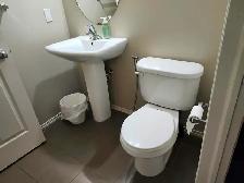 Three (03) Bed House for rent - Photo 9