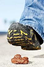 Dog Dung Done a house cleaning service - Photo 2