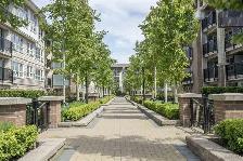 1 Bedroom   1 Big Den (For Rent in Richmond)