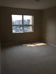 1 Bedroom   1 Big Den (For Rent in Richmond) - Photo 4