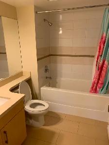1 Bedroom   1 Big Den (For Rent in Richmond) - Photo 16