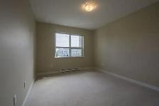 1 Bedroom   1 Big Den (For Rent in Richmond) - Photo 18