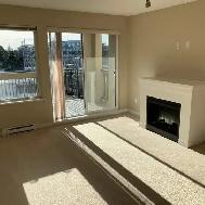 1 Bedroom   1 Big Den (For Rent in Richmond) - Photo 21