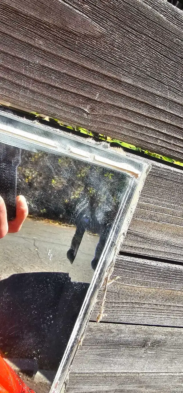 free large beveled mirror 49 x 63 inch