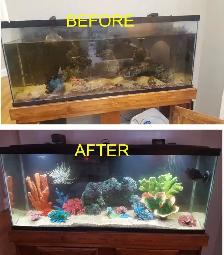 AQUARIUM - FISH TANK SVC
