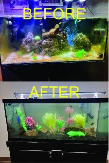 AQUARIUM - FISH TANK SVC - Photo 3