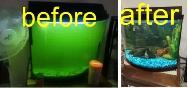 AQUARIUM - FISH TANK SVC - Photo 4