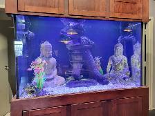 AQUARIUM - FISH TANK SVC - Photo 6