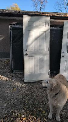 32'x80' steel insulated door with frame and self closing hinges - Photo 2
