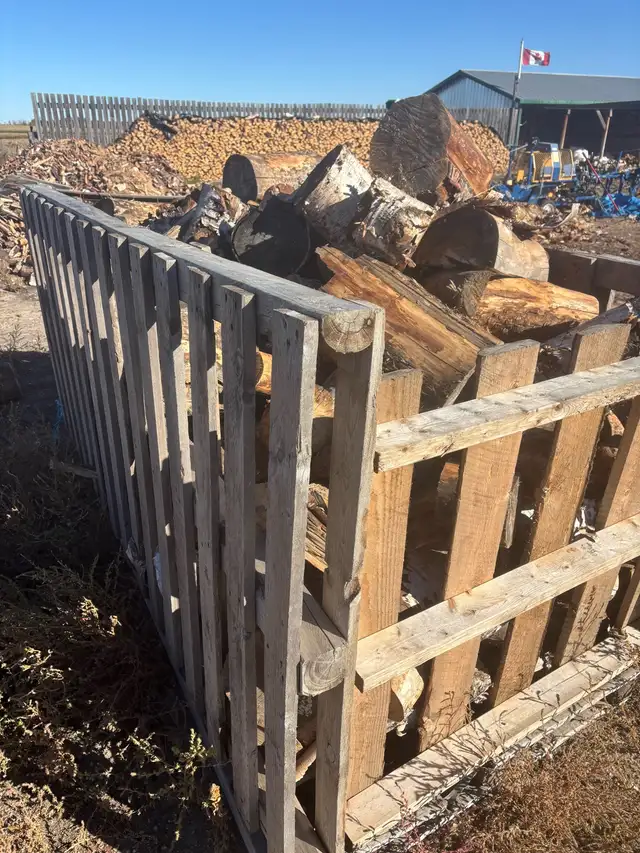 clearance  bin (firewood )