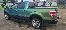 2010 Ford F150 Platinum Super Crew 4x4 - Photo 3