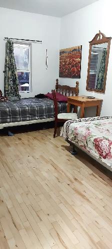 Private Room for Girls ,Metro Frontenac/ PARC/Monk/Saint Michel - Photo 5