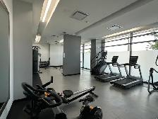 1-Bdm.   Den for Rent at Junction Factory Dundas W./Runnymede - Photo 20